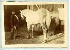 Ecurie cheval vintage d'occasion  Pagny-sur-Moselle