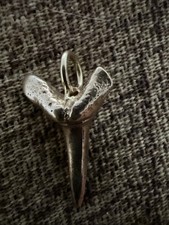 Dente squalo oro usato  Roma