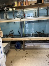 4ft fish tank for sale  MAIDSTONE