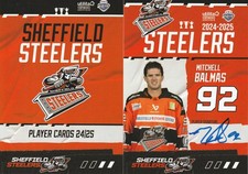 sheffield steelers for sale sheffield steelers for sale SHEFFIELD