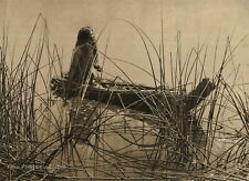 1900 edward curtis for sale  Tampa