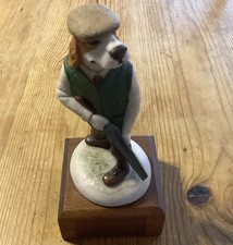 Country companions springer for sale  HELSTON
