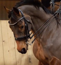 Wolds exclusive bling for sale  CHELTENHAM