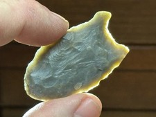 Amazing authentic paleo for sale  Evansville