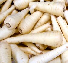 400x parsnip tender for sale  DEWSBURY