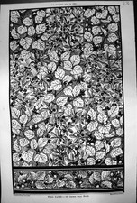 Antique print illustration for sale  UK