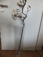 Deko magnolien zweig gebraucht kaufen  Coburg