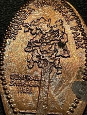 General sherman tree for sale  Memphis