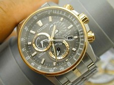 Citizen echo drive for sale  Hemet