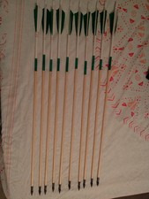 Holzpfeile stück 31 gebraucht kaufen  Roth
