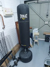 Everlast free standing for sale  BELPER