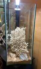 Acquario verticale extra usato  Roma