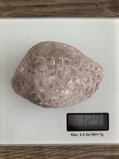 Large round unpolished for sale  Charlevoix