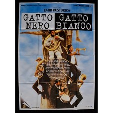 Manifesto gatto nero usato  Nocera Superiore