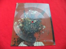 SUZI QUATRO devil gate drive RARE 1974 POLISH FLEXI RSW Ruch misspelled #2, używany na sprzedaż  PL