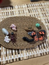 Insects lore life for sale  ROCHESTER