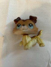 2004 hasbro rare for sale  Danbury