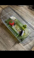 Hamster cage for sale  Erie