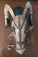 African guro ram for sale  Poland