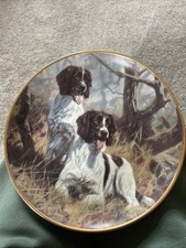 Danbury mint springer for sale  LLANELLI