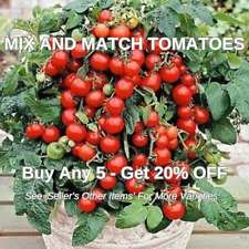 Tomato baskets small for sale  THAME