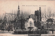 Sens green rug d'occasion  Expédié en Belgium