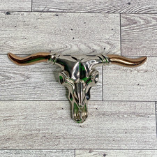 Texas longhorn skull for sale  Edmond