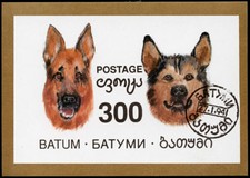 German shepherd dog d'occasion  Expédié en Belgium