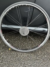 bontrager race lite gebraucht kaufen bontrager race lite gebraucht kaufen Bad Birnbach