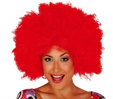 Parrucca clown afro usato  Rancio Valcuvia
