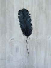 Plume autruche chapeau d'occasion  Saint-Sever