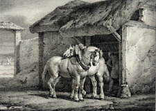 Cheval ferme lithographie d'occasion  Pluvigner
