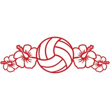 Volleyball hibiscus flower for sale  Long Beach