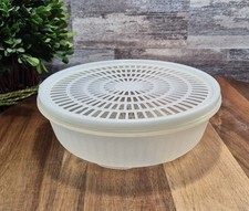 Vintage tupperware fruit for sale  Duluth