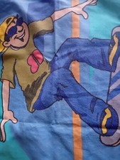 Childs skateboarding pillow for sale  WICKFORD