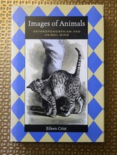 Images animals anthropomorphis for sale  Bloomington