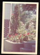 Vintage photograph woman for sale  Greeley