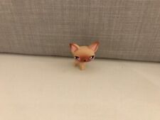 Littlest petshop chihuahua for sale  STOKE-ON-TRENT