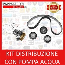Kit distribuzione pompa usato  Misterbianco