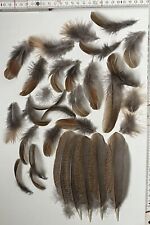 naturfedern gebraucht kaufen naturfedern gebraucht kaufen Weilmünster