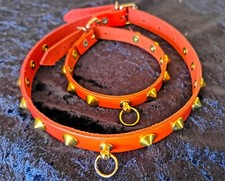 halsband leder gebraucht kaufen halsband leder gebraucht kaufen Bruckmühl