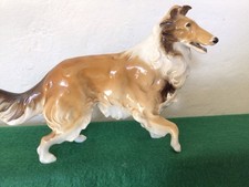 Hulchenreuther rough collie for sale  MINEHEAD