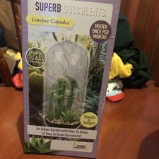 Diy indoor hanging for sale  Massena