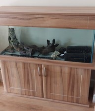Large used fish for sale  HORNCHURCH