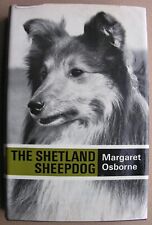1970 shetland sheepdog for sale  HYTHE