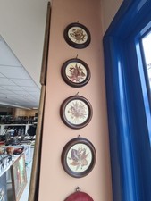 Quadtretti fiori secchi usato  Torino