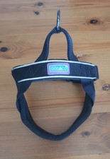 Dog medium black for sale  FARNHAM