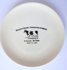 Vintage syracuse china for sale  Chantilly