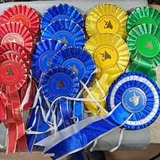 British toggenburg goat for sale  BLAYDON-ON-TYNE