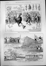 Old print fidella for sale  UK